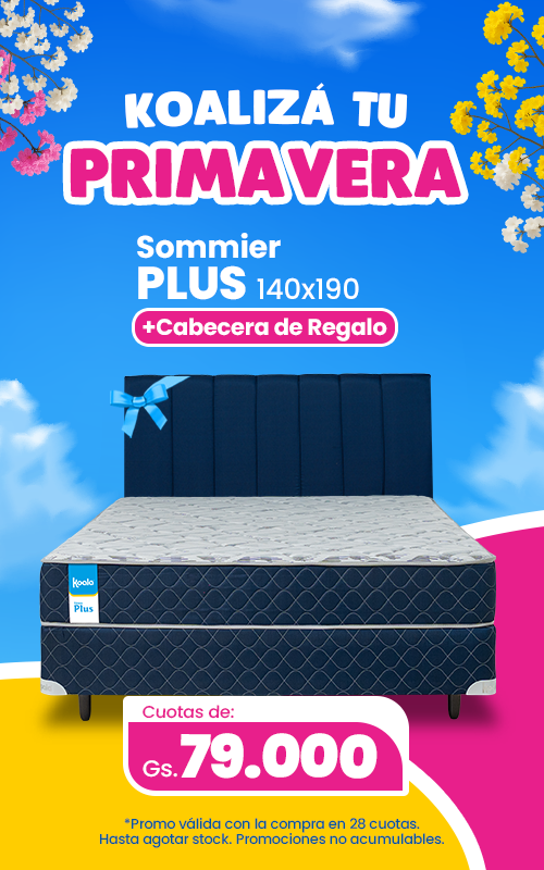 PROMO PLUS