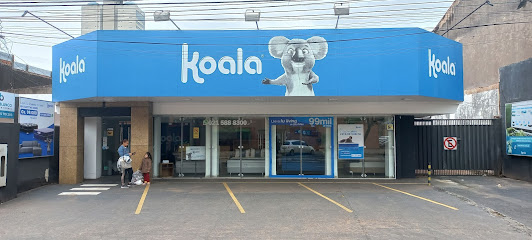 Koala Villamorra