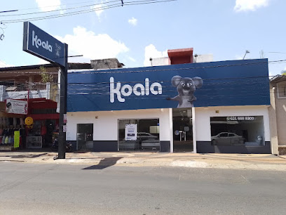 Koala Luque 3